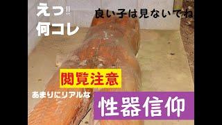 （閲覧注意）何コレ‼　あまりにリアルな性器信仰