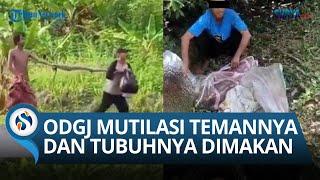 Fakta Baru Kasus Mutilasi ODGJ di Garut, Asal Pisau yang Dipakai Pelaku hingga Makan Tubuh Korbannya