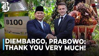 Cerita Prabowo Soal Embargo Kelapa Sawit di Depan Presiden Macron