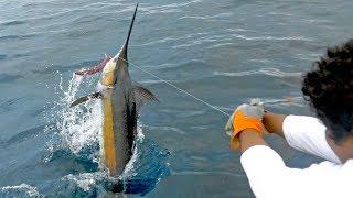 EPIC Blue Marlin Fishing in Costa Rica