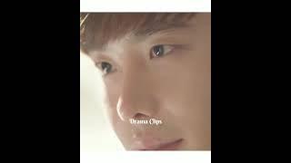 Pinocchio Bread  kiss scene || Drama Clips