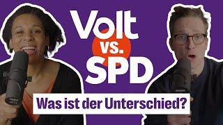 Volt vs. SPD - Was ist der Unterschied? Parteien im Vergleich