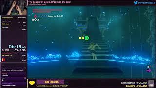 Trial of the Sword (OoB) Speedrun in 11:58 - The Legend of Zelda: Breath of the Wild