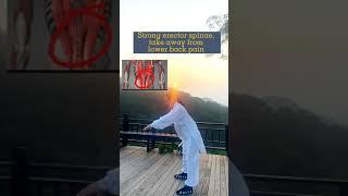 Strong erector spinae protect your lumbar spine  #taichi #wudang #exercise #health #chineseculture #