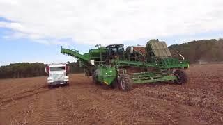 Lenco 8 row windrower