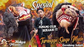 PAWANG CILIK BERAKSI‼️Pemain barongan ndadi semua | TSM Live Gondang Subah | Turonggo singo mudo