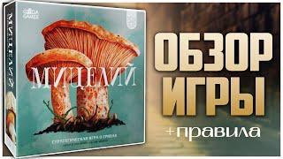 МИЦЕЛИЙ | MYCELIA ► Грибной контроль территорий ► Обзор и Правила игры