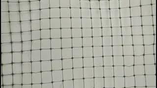 anti bird net product chinese factory- Hefei Better Technology Co., Ltd.