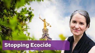 Stopping Ecocide: Can International Law Prevent Mass Environmental Destruction?