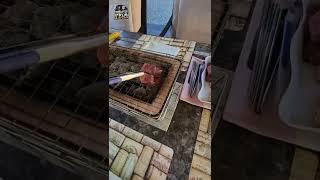 최고의 야카토리 테이블탑 그릴 #shorts #rvlikenoother #firesense