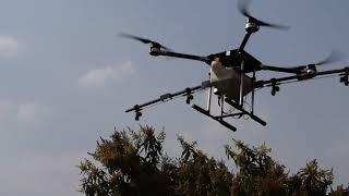 Pesticide Spraying for Mango Trees using Drones - Aries Solutions Pvt Ltd