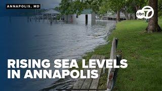 Annapolis mayor vows to protect city from rising sea levels