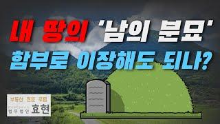 내 땅의 ‘남의 분묘’, 함부로 이장해도 되나? | ﻿법무법인 효현 김재권 변호사