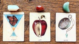 A GIFT THE UNIVERSE HAS PREPARED FOR YOU!   | Pick a Card Tarot Reading