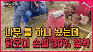 나무 틀 하나 놨을 뿐인데! 닭사료 한 30%는 절약 하는듯