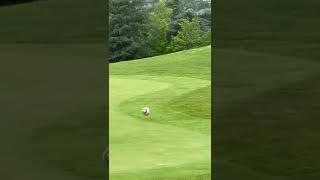 Hole in one  #holeinone #tricks #bestshot #sports #footgolf #champion