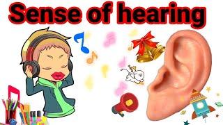 Sense of Hearing for Kids | The Human Ear | Types of Sounds for Kids