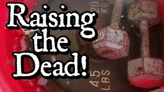 Raising the Dead! (Restoration of Weights for Less Than $20)