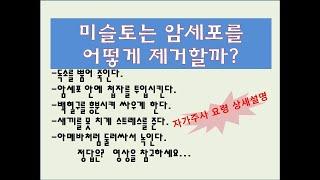 미슬토주사 어디까지 써봤니? 최신논문 리뷰와 자가주사 시전