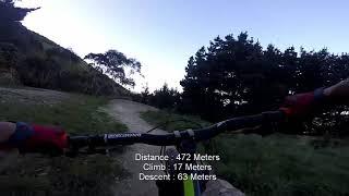 Blaster - Rangituhi Trail Park - Porirua