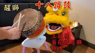 (醒獅)十八路鼓:三敬禮,菊花頭起獅,探步 #martialart  #liondance #drum #drummer #醒獅 #打鼓 #舞獅 #martialart #wushu #kungfu