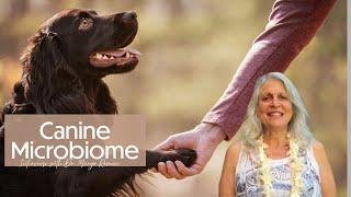 Importance of the Canine Microbiome with Dr. Margo Roman