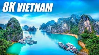 Vietnam in 8K TV HDR 60FPS ULTRA HD