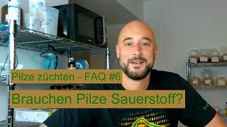 Pilze züchten - Brauchen Pilze Sauerstoff? Pilzzucht FAQ #6