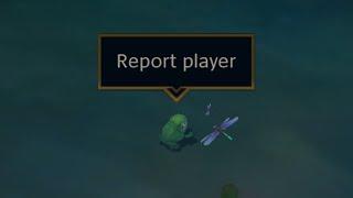 report żabke