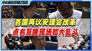 最新会议解说：各国大谈安理会改革，五常嗑瓜子稳坐钓鱼台看大乱斗丨小Q解读联合国