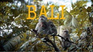 Hidden Bali: Incredible Sights Missed by Most Tourists!