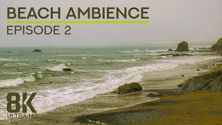 Beach Soundscape of the Pacific Ocean - 8K Scenic View to Enderts Beach, California - Episode 2