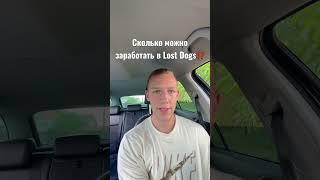 Сколько можно заработать на Lost Dogs