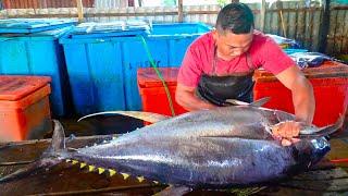 LARGE TUNA FISH CUTTING FOR DELIVERY 2023 || EXPERT FISH CUTTER || LUXURY FOOD