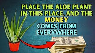  PLACE THE ALOE PLANT IN THIS PLACE AND MONEY COMES FROM EVERYWHERE