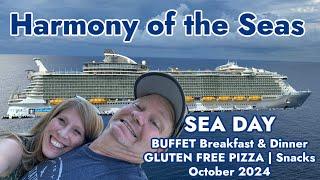 Harmony of the Seas Sea Day | BIG WIN | Buffet FOOD | Gluten free Pizza and Food | FINE AQUA SHOW