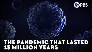 The Pandemic That Lasted 15 Million Years