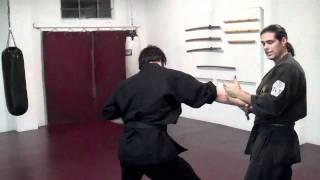 Combat Jujutsu ONE - Dr Patrick Price (Wrist Locks)