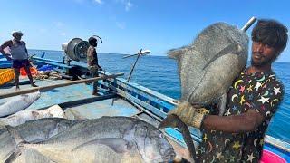 Amazing!!! Third Day We Caught Big Size Trevally Fish | மூன்றாம் நாள் ஆழ்கடலில் பிடித்த பெரிய பாறை