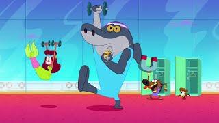 ZIG AND SHARKO | SPORT & FUN (SEASON 3) New episodes | Cartoon Collection for kids HD