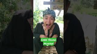 HUUUUH LADA PEDAS MANTAP