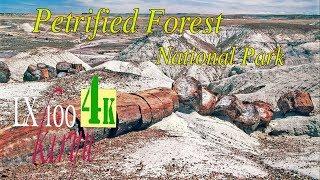 Petrified Forest National Park  ( AZ )   4k Ultra HD