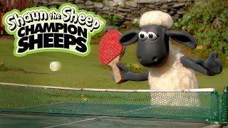 Bóng bàn | Championsheeps | Những Chú Cừu Thông Minh [Shaun the Sheep]