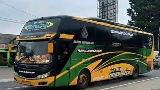 Trip perjalanan singkat menuju Jakarta bersama bus Barokah