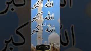 إن بذكر الله تطمئن القلوب ️️ احيوا تكبيرات العيد الاضحى ️️ كل سنه وانتم طيبين وبخير