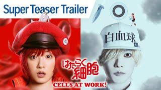 CELLS AT WORK!  Super Teaser Trailer