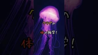 クラゲの体の雑学！ #動物 #雑学 #3選シリーズ #おもしろ #animals #豆知識