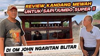 SUPER MEWAH ‼️ REVIEW KANDANG SAPI SENI OM JOHN  @TukangNgaritBlitar  