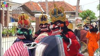 OBROG BUYUT JAWA SHOW SABRANGWETAN | OBROG INDRAMAYU