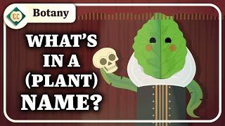 How Do We Categorize Plants?: Crash Course Botany #7